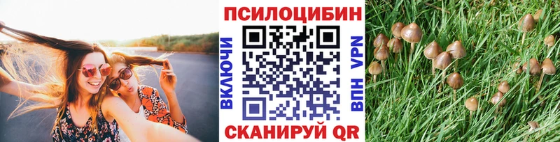Галлюциногенные грибы Psilocybine cubensis kraken зеркало Ростов дарнет шоп